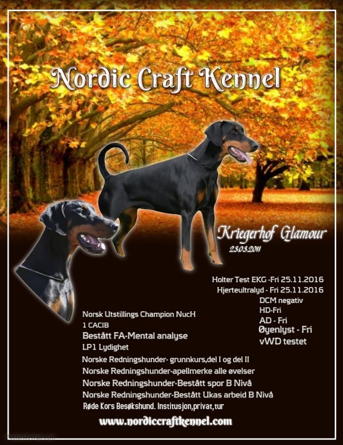 *   Kennel Nordic Craft   * 

- FØLG OSS PÅ INSTAGRAM ! 

Instagram : kennel_nordic_craft
https://www.instagram.com/kennel_nordic_craft/
Oppdrett av Dobermann ,
med fokus på brukslinjer . 
Vi vil etterstrebe å finne kombinasjoner som har den rette balanse mellom bruksegenskaper, mentalitet, helse og eksteriør. 

Godkjent av FCI og NKK .
( Den Internasjonale Kennelklubben og Norsk Kennel klubb ) 
Medlem av Norsk Dobermann Klubb
Medlem av Norske Rednings Hunder
Medlem av Norsk Kennel Klubb
Medlem i Røde Kors Besøkshund


Vårt oppdrett er genuint opptatt av å få frem trygge og solide bruks- og familie hunder .

Vårt første kull , stammer fra vår tispe Kriegerhof Glamour & Oksamit De Grande Vinko . 
Dette er en sterk kombinasjon , som er i henhold til vår filosofi , dette er foreldre som kan vise til både gode bruksegenskaper , mentalitet og rasetypiske for Dobermann .

Vi viser stolt frem vår tispe som starter vår linje : 

Kriegerhof Glamour - 